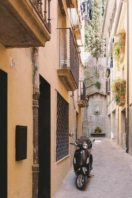 Daire Velo Vern 3 Luxury Penthouse W Views Of City Wall Girona